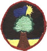 'Dark Tree' embroidered by Tom Rue, 1972, on a bus en route from Princeton, New Jersey to Washington, DC.