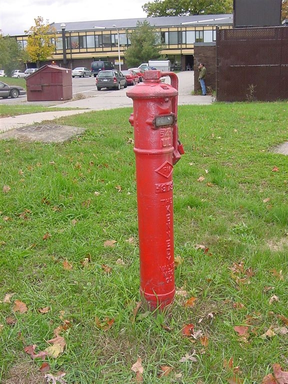 DSC03674.JPG