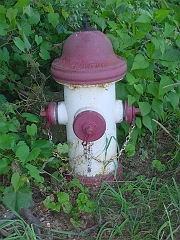 2005_07_23_26
