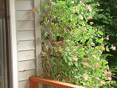2008-06-21-05