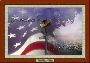 Freedom's not free.
