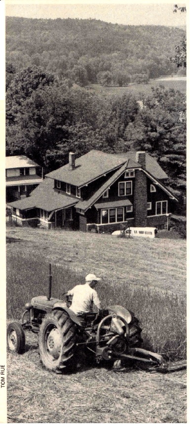 Oscar Ropke mowing the hill